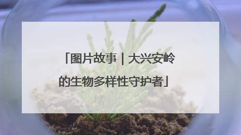图片故事｜大兴安岭的生物多样性守护者