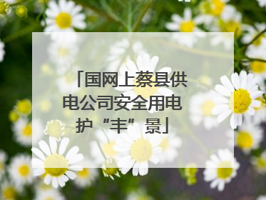 国网上蔡县供电公司安全用电护“丰”景