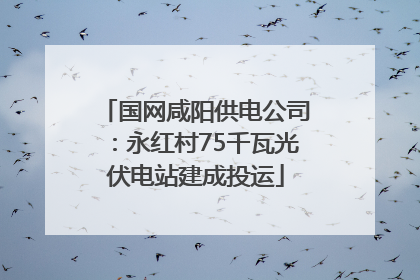国网咸阳供电公司：永红村75千瓦光伏电站建成投运