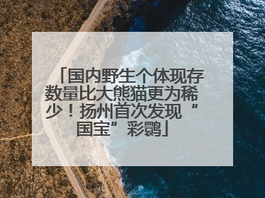 国内野生个体现存数量比大熊猫更为稀少！扬州首次发现“国宝”彩鹮