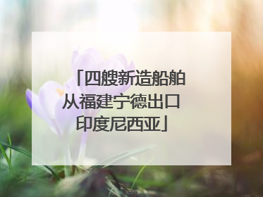 四艘新造船舶从福建宁德出口印度尼西亚