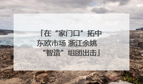 在“家门口”拓中东欧市场 浙江余姚“智造”组团出击