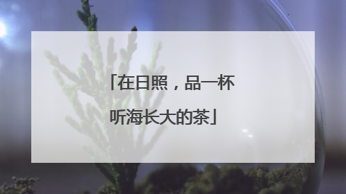 在日照，品一杯听海长大的茶