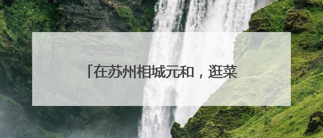 在苏州相城元和，逛菜场也能听苏州评话！