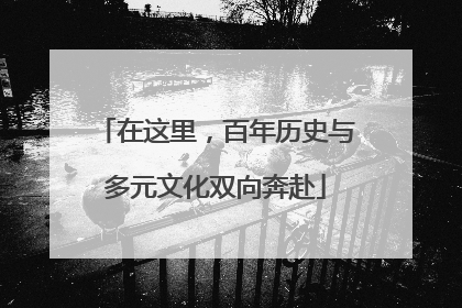 在这里，百年历史与多元文化双向奔赴