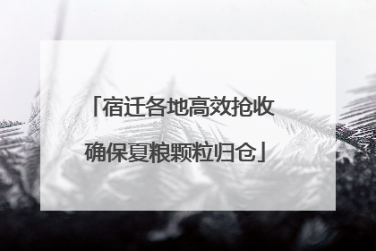 宿迁各地高效抢收 确保夏粮颗粒归仓