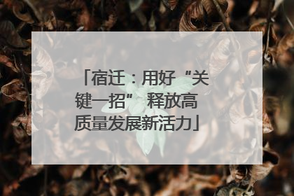 宿迁：用好“关键一招” 释放高质量发展新活力