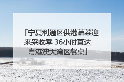 宁夏利通区供港蔬菜迎来采收季 36小时直达粤港澳大湾区餐桌