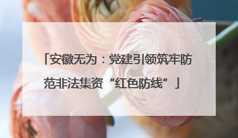 安徽无为：党建引领筑牢防范非法集资“红色防线”