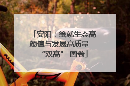 安阳：绘就生态高颜值与发展高质量 “双高” 画卷