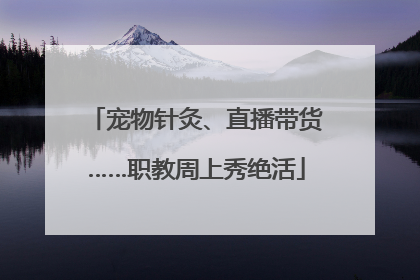 宠物针灸、直播带货……职教周上秀绝活