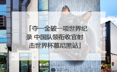 夺一金破一项世界纪录 中国队领衔收官射击世界杯慕尼黑站