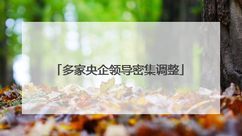 多家央企领导密集调整