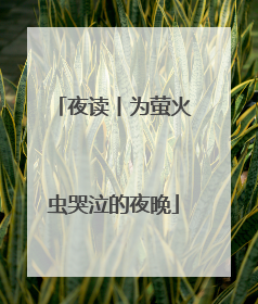 夜读丨为萤火虫哭泣的夜晚