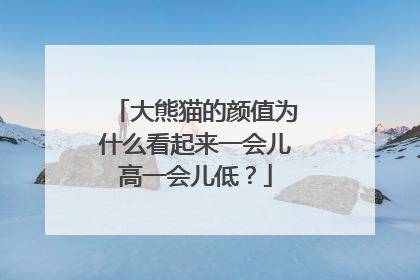 大熊猫的颜值为什么看起来一会儿高一会儿低？