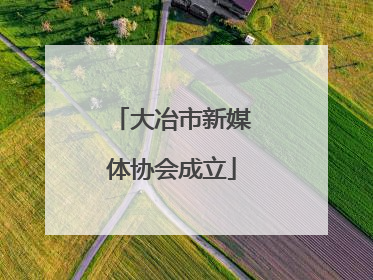 大冶市新媒体协会成立