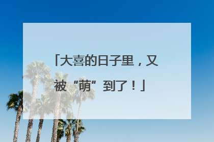大喜的日子里，又被“萌”到了！
