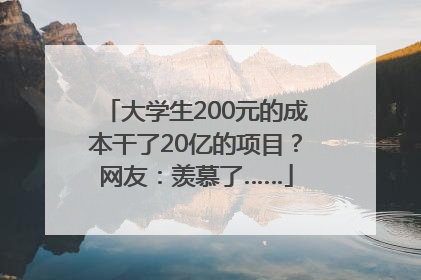 大学生200元的成本干了20亿的项目？网友：羡慕了……