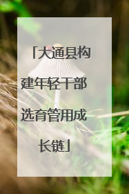 大通县构建年轻干部选育管用成长链