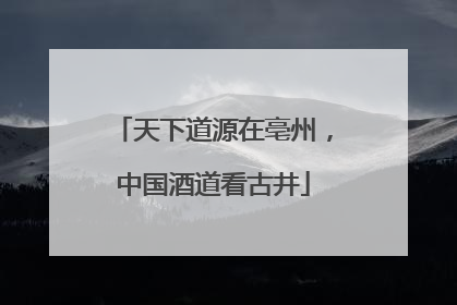 天下道源在亳州，中国酒道看古井