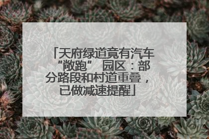 天府绿道竟有汽车“敞跑” 园区：部分路段和村道重叠，已做减速提醒