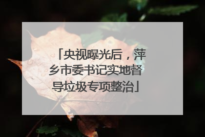 央视曝光后，萍乡市委书记实地督导垃圾专项整治