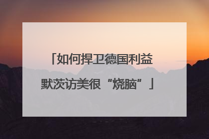 如何捍卫德国利益 默茨访美很“烧脑”