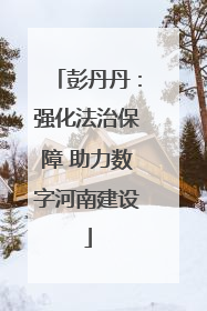 彭丹丹：强化法治保障 助力数字河南建设