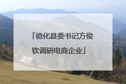 德化县委书记方俊钦调研电商企业