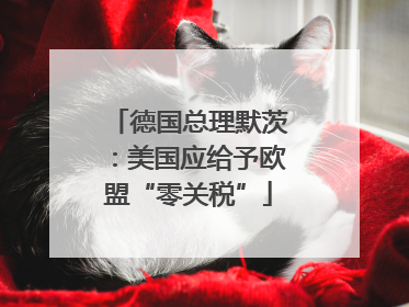 德国总理默茨：美国应给予欧盟“零关税”