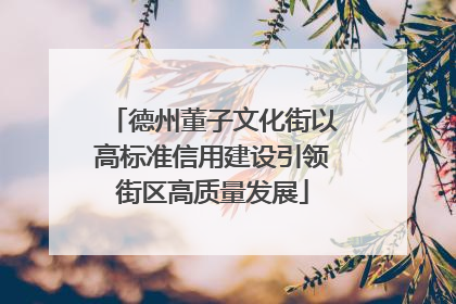 德州董子文化街以高标准信用建设引领街区高质量发展