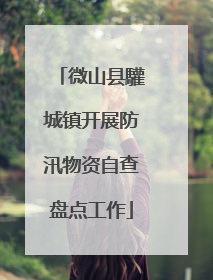 微山县驩城镇开展防汛物资自查盘点工作