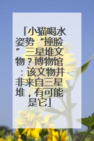 小猫喝水姿势“撞脸”三星堆文物？博物馆：该文物并非来自三星堆，有可能是它