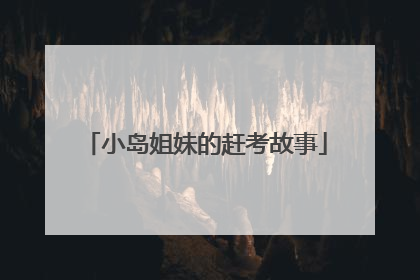 小岛姐妹的赶考故事