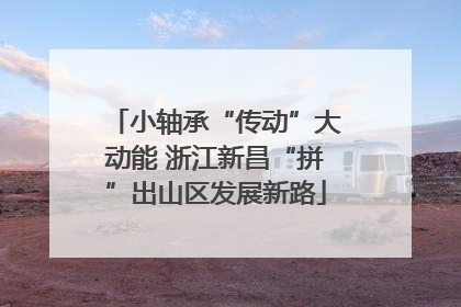 小轴承“传动”大动能 浙江新昌“拼”出山区发展新路