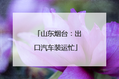 山东烟台：出口汽车装运忙