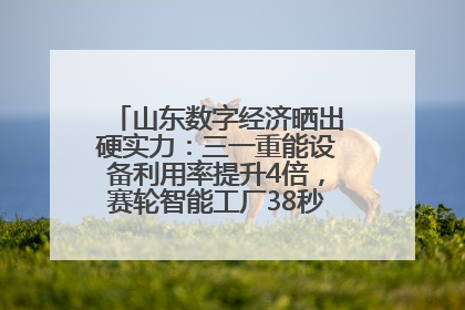 山东数字经济晒出硬实力：三一重能设备利用率提升4倍，赛轮智能工厂38秒生产一条轮胎