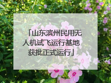 山东滨州民用无人机试飞运行基地获批正式运行