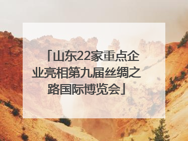 山东22家重点企业亮相第九届丝绸之路国际博览会