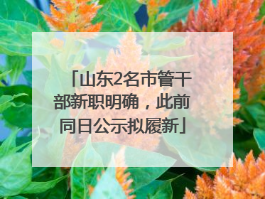 山东2名市管干部新职明确，此前同日公示拟履新