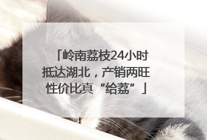岭南荔枝24小时抵达湖北，产销两旺性价比真“给荔”