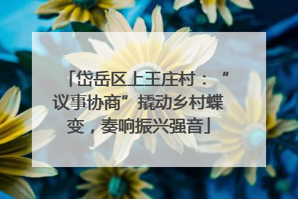 岱岳区上王庄村：“议事协商”撬动乡村蝶变，奏响振兴强音