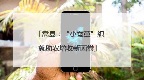 嵩县：“小蚕茧”织就助农增收新画卷