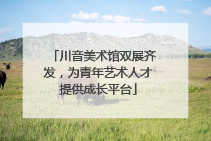 川音美术馆双展齐发，为青年艺术人才提供成长平台