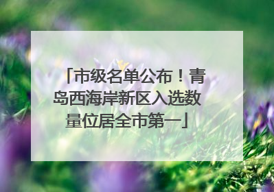 市级名单公布！青岛西海岸新区入选数量位居全市第一
