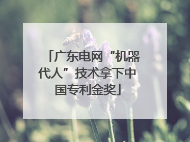 广东电网“机器代人”技术拿下中国专利金奖