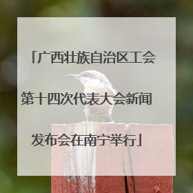 广西壮族自治区工会第十四次代表大会新闻发布会在南宁举行