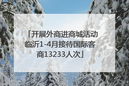 开展外商进商城活动 临沂1-4月接待国际客商13233人次