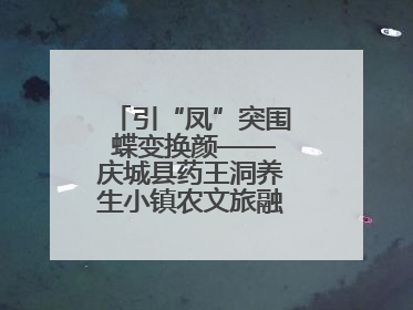 引“凤”突围 蝶变换颜——庆城县药王洞养生小镇农文旅融合发展纪实