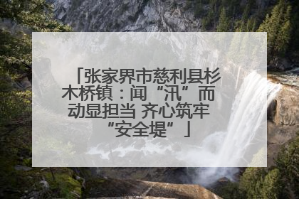 张家界市慈利县杉木桥镇：闻“汛”而动显担当 齐心筑牢“安全堤”